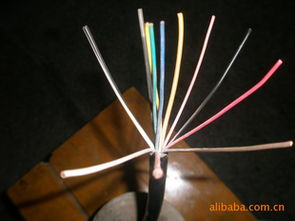 汽车控制电源线 海盐县钟海电塑电缆厂的专业供应与产品解析